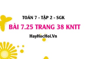 Bài 7.25 trang 38 Toán 7 Tập 2 Kết nối tri thức